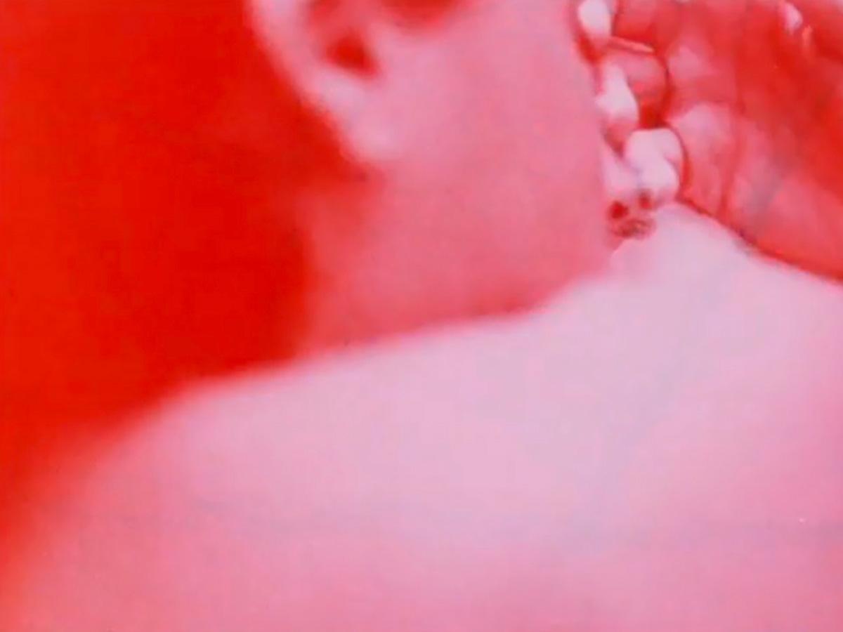 Devotio Moderna (Shellie Fleming, 1993)