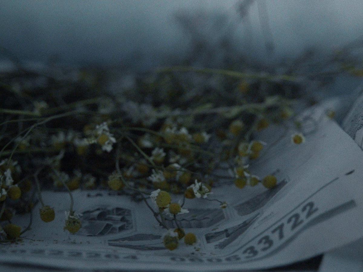 Nanu Tudor (Olga Lucovnicova, 2020)