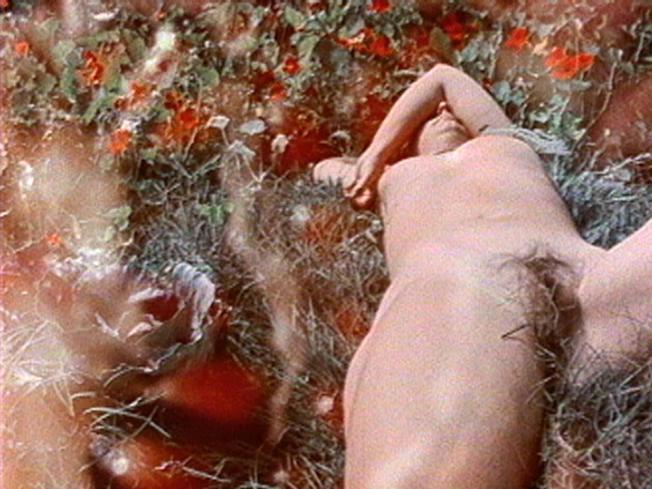 Dyketactics (Barbara Hammer, 1974)