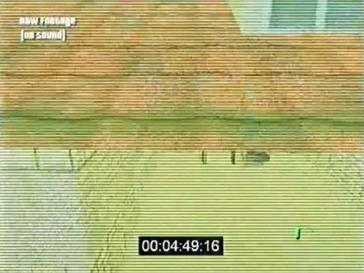 Workprint: De Facto Vela Incident (Pastinaca Videotapes Plantation, 2023)