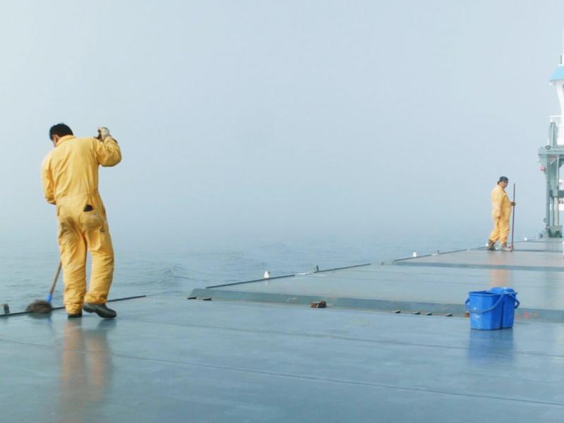 elephantfish (Meltse Van Coillie, 2018)