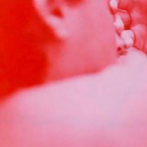 Devotio Moderna (Shellie Fleming, 1993)